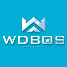 WDBOS - Game Balap Motor Seru dan Menantang